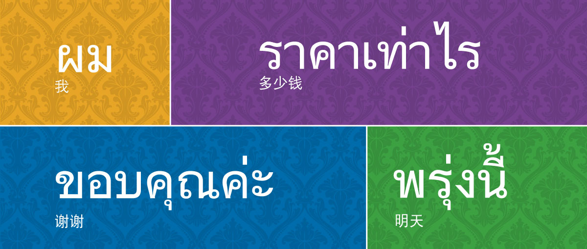 DynaFont多国语字体──华康逸黑体 （泰文） | 华康字型